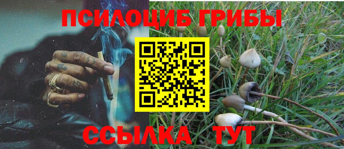 Ликино-Дулёво  Галлюциногенные грибы MAGIC MUSHROOMS  Вход с VPN  Псилоцибиновые грибы GOLDEN TEACHER 